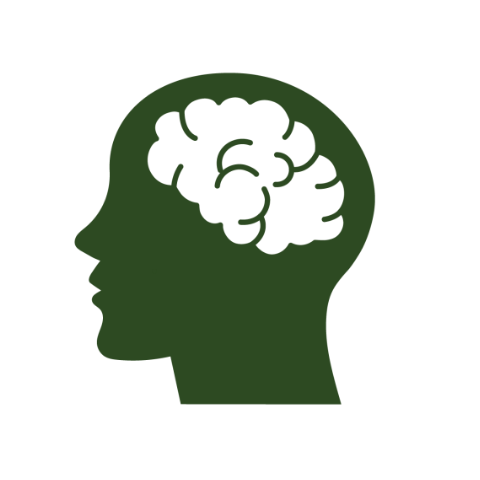뇌 아이콘